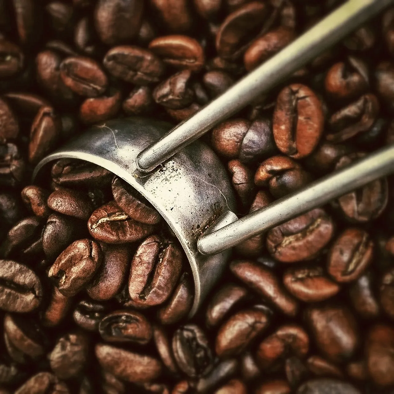 Coffee Exports